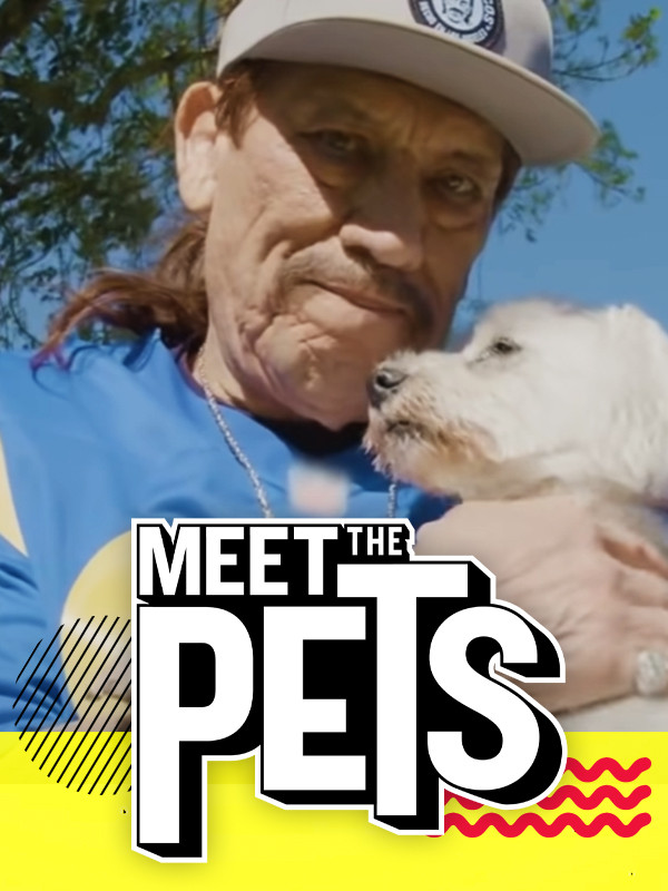 Meet the Pets official Whistle show artwork